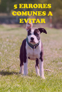 aprender gratis sobre perros