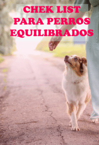 aprender gratis sobre perros